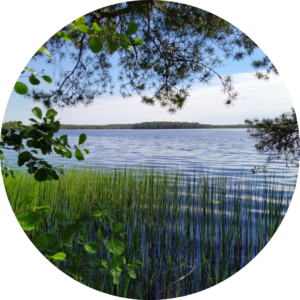 Metsäjooga & Saunailta 28.8.